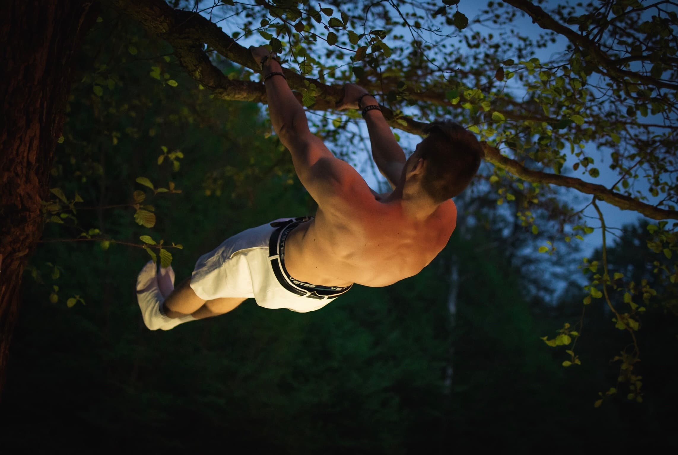 Zdjęcie z galerii 5