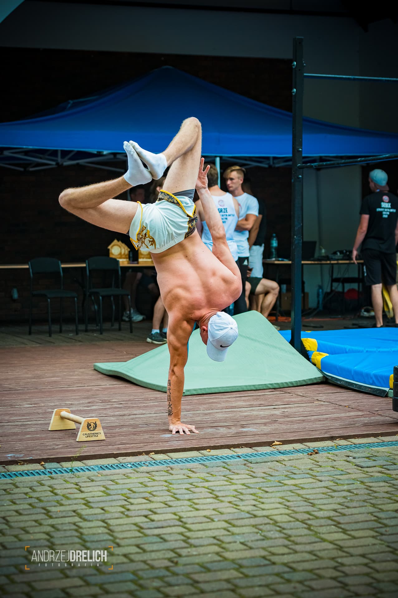 Zdjęcie z galerii 6